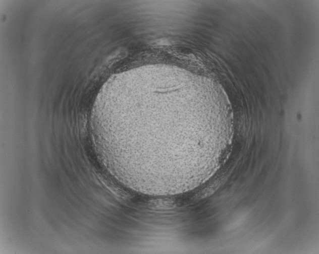 X0000066530660200604071618