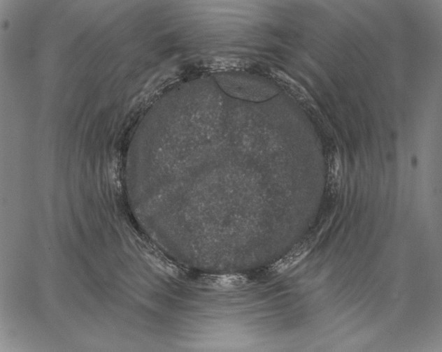 X0000066530663200604071618