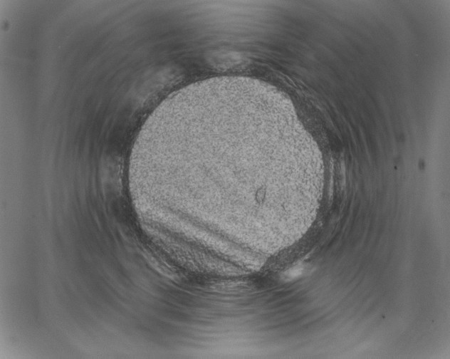 X0000066530664200604071618