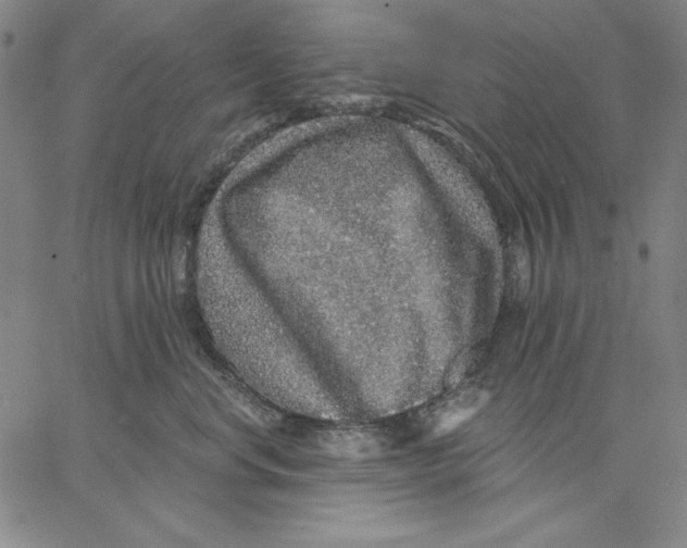 X0000066530668200604071618