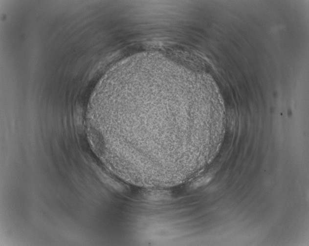 X0000066530670200604071618