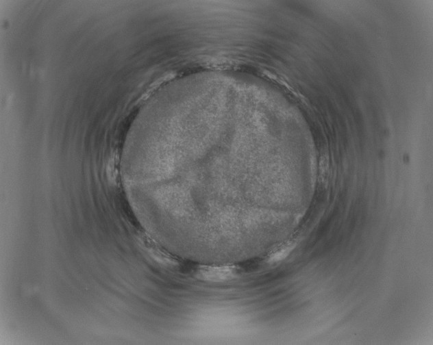 X0000066530671200604071618