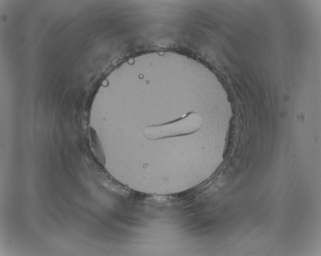 X0000066530672200604071618