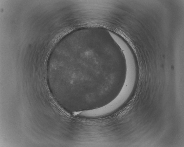 X0000066530673200604071617