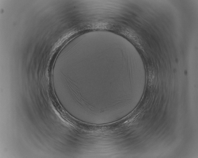 X0000066530674200604071617