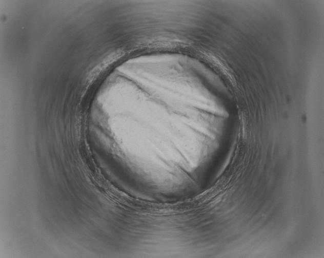 X0000066530675200604071617