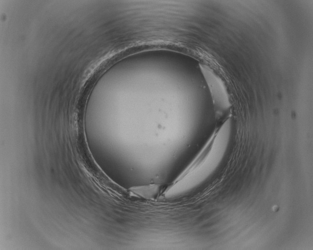 X0000066530676200604071617