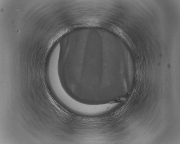 X0000066530677200604071617