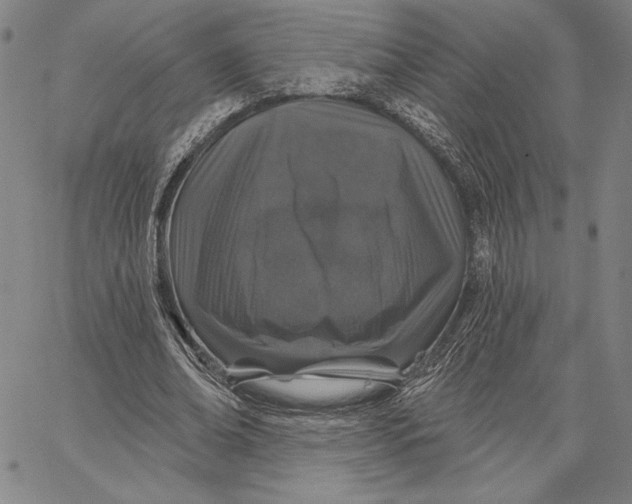 X0000066530678200604071617