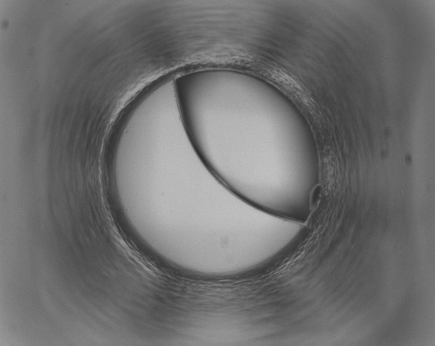 X0000066530680200604071617