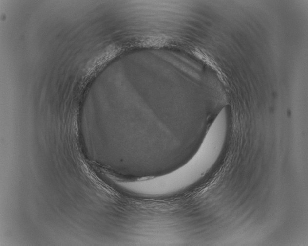 X0000066530681200604071617