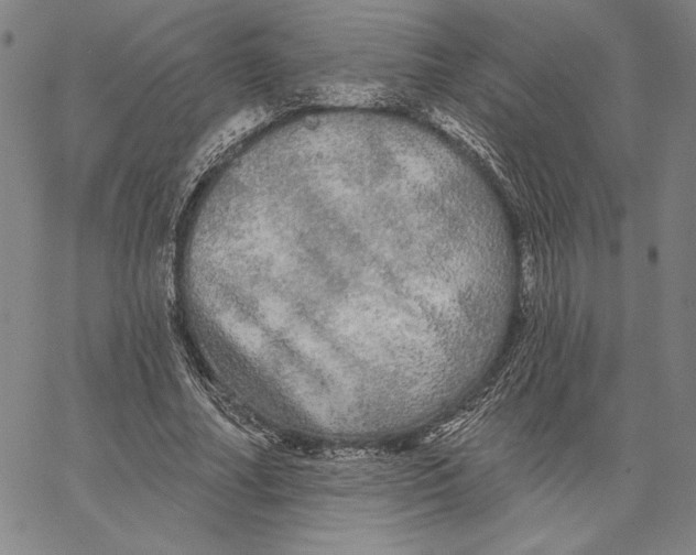 X0000066530682200604071617