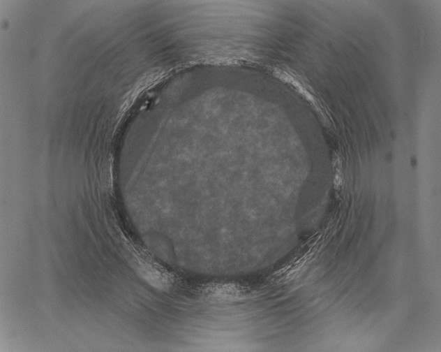 X0000066530685200604071617