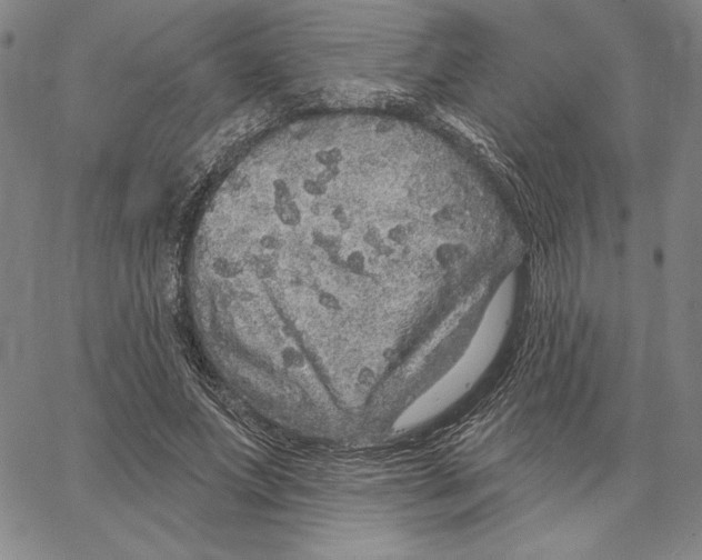 X0000066530687200604071617