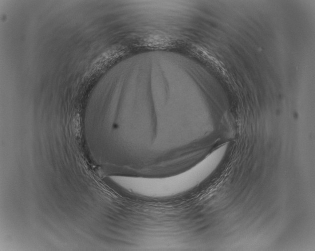 X0000066530689200604071617