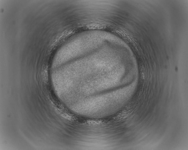 X0000066530690200604071617