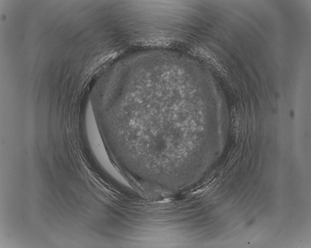 X0000066530692200604071617