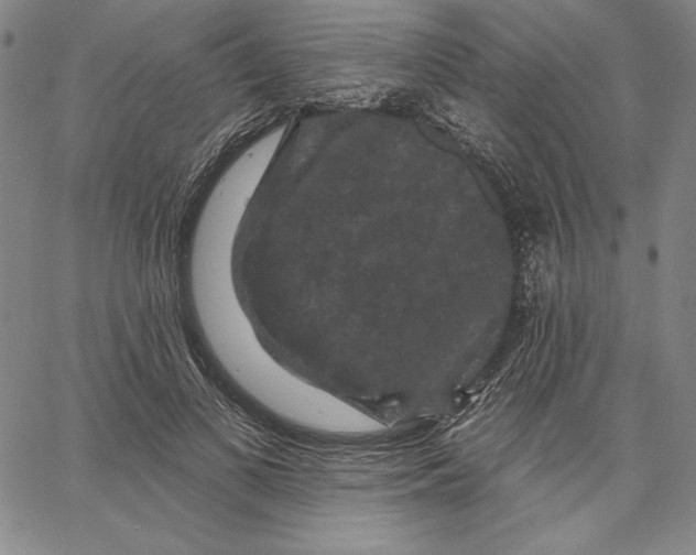 X0000066530693200604071617