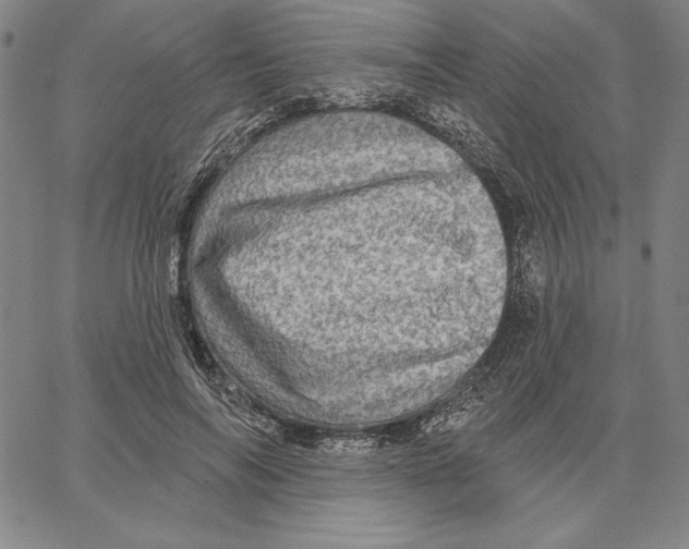 X0000066530694200604071617