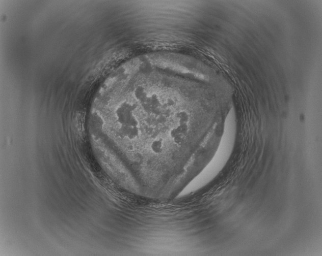 X0000066530695200604071617