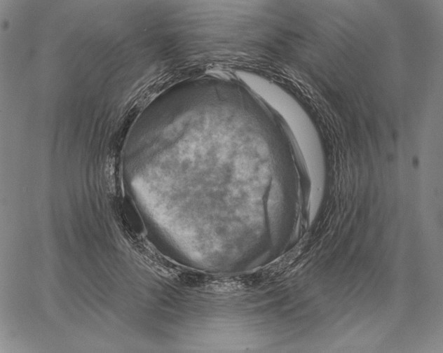 X0000066530696200604071617