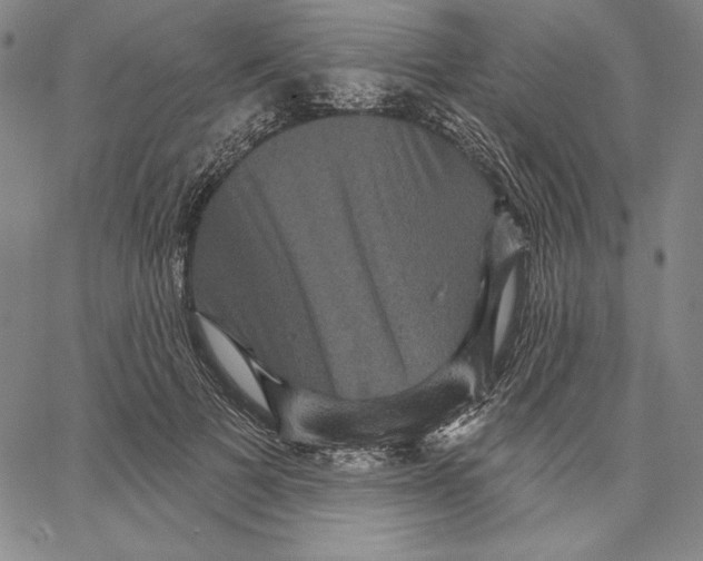 X0000066530697200604071617