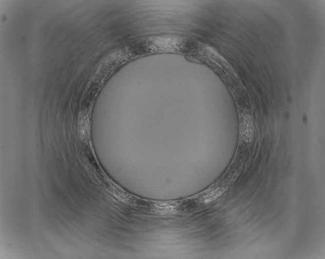 X0000066530701200604071617