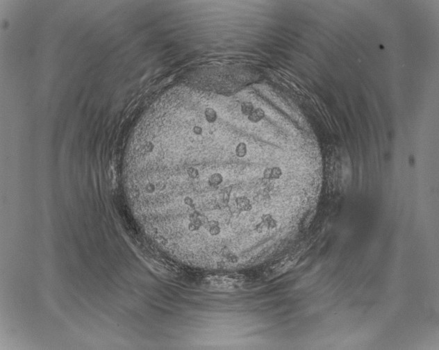 X0000066530703200604071617