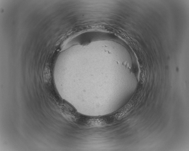 X0000066530704200604071617