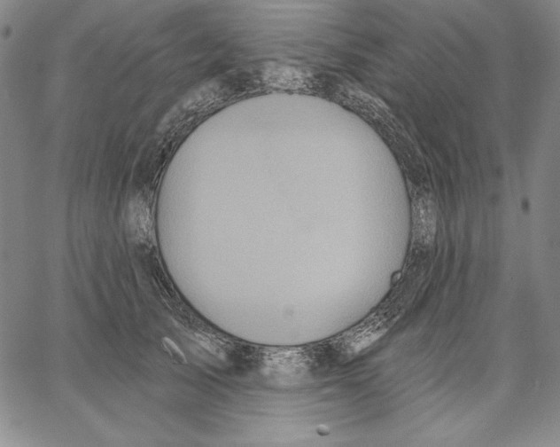 X0000066530705200604071617