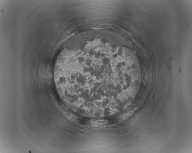 X0000066530707200604071617