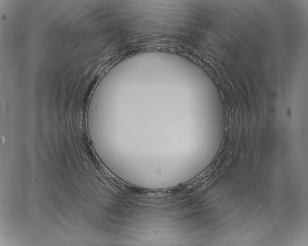 X0000066530708200604071617