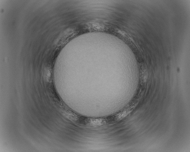 X0000066530709200604071617