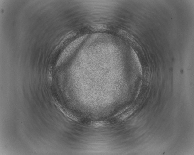 X0000066530710200604071617