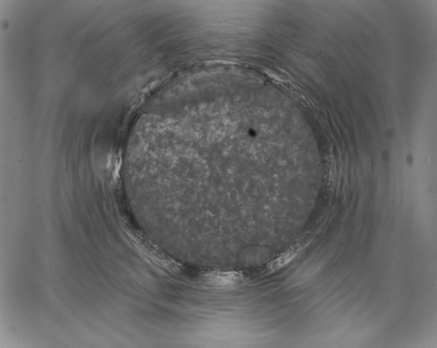 X0000066530711200604071617