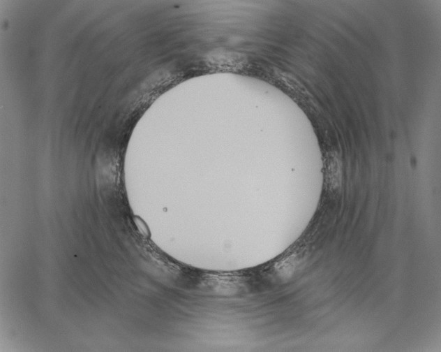 X0000066530713200604071617