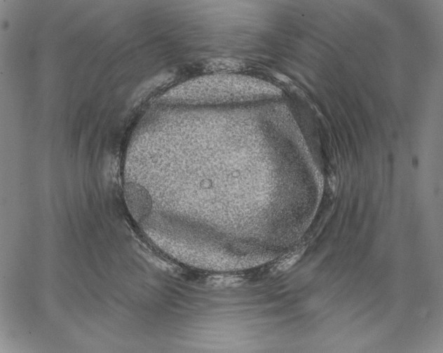 X0000066530714200604071617