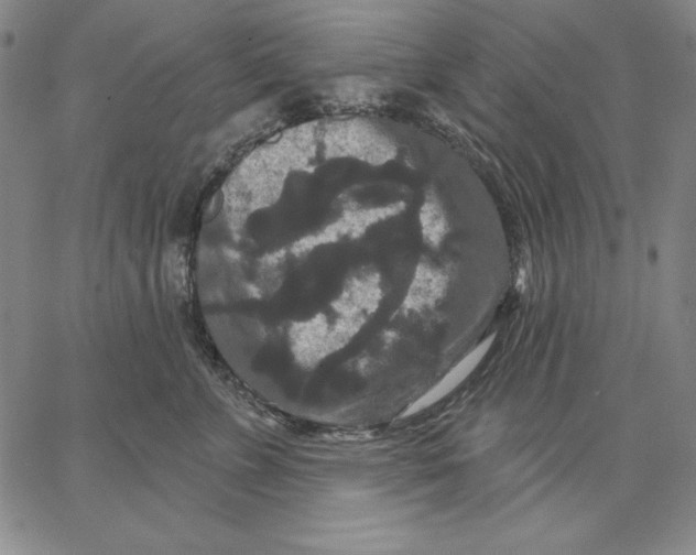 X0000066530715200604071617