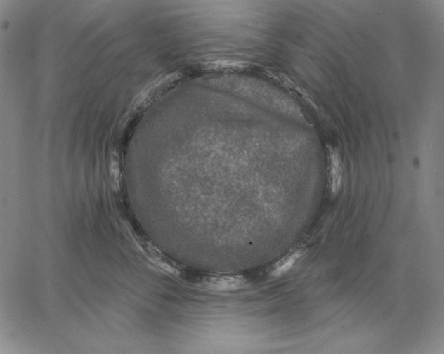 X0000066530716200604071617