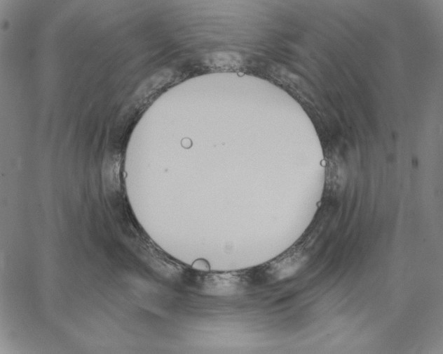 X0000066530717200604071617