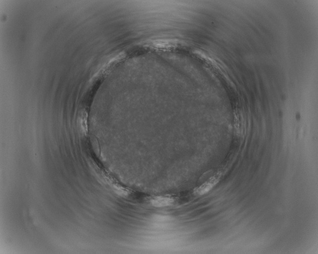 X0000066530718200604071617