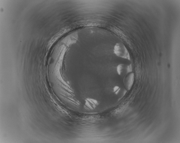 X0000066530721200604071616