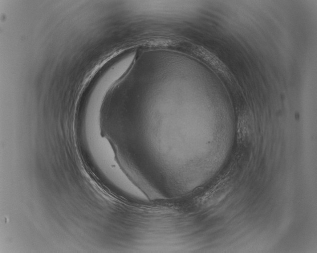 X0000066530722200604071616