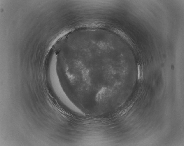 X0000066530723200604071616