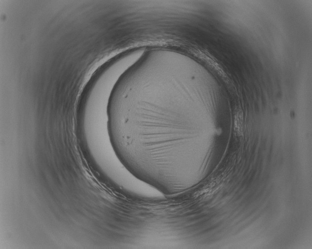 X0000066530724200604071616