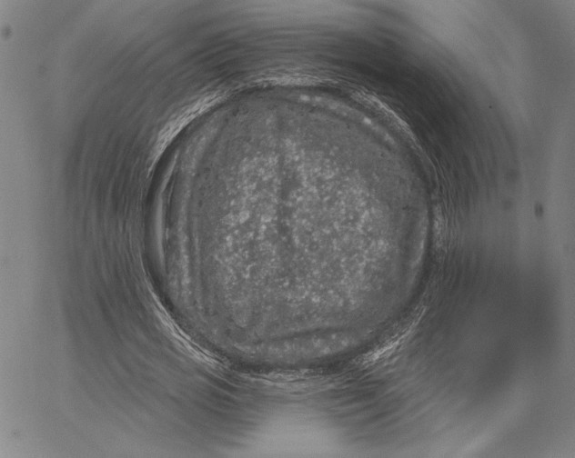 X0000066530725200604071616