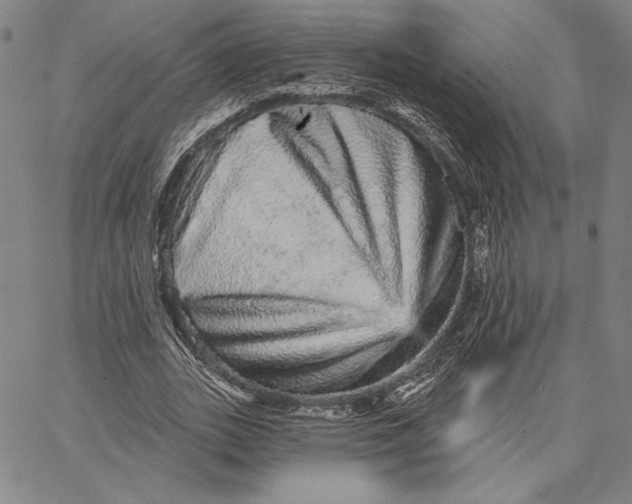 X0000066530727200604071616