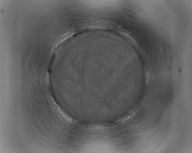 X0000066530729200604071616