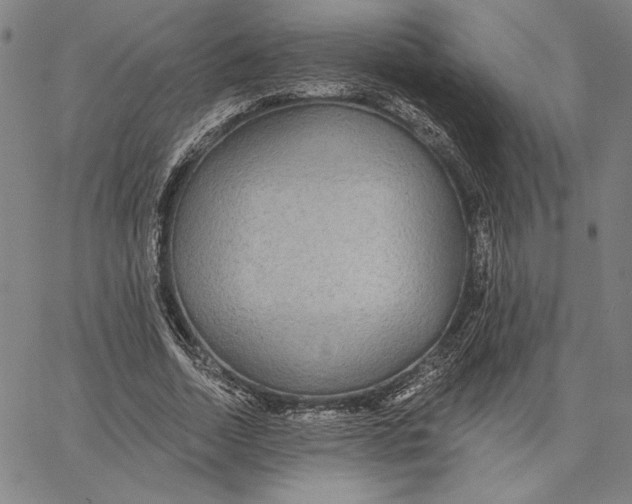 X0000066530730200604071616