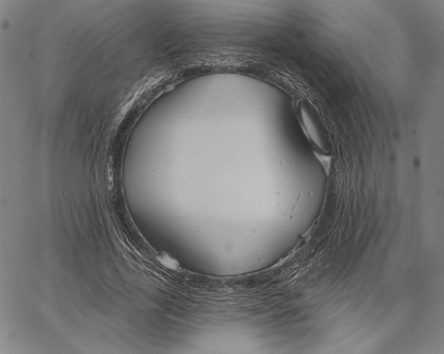 X0000066530731200604071616